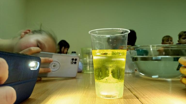 IMG20221130125256.jpg