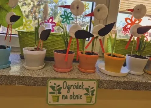 Własny ogródek uczniów klasy II!