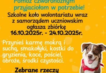 ZBIÓRKA CHARYTATYWNA DLA SCHRONISKA W WIELOGŁOWACH!