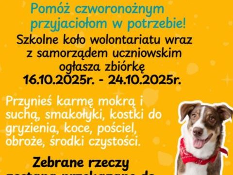 ZBIÓRKA CHARYTATYWNA DLA SCHRONISKA W WIELOGŁOWACH!