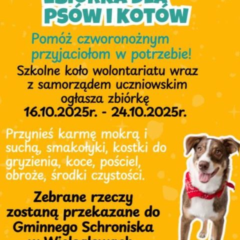ZBIÓRKA CHARYTATYWNA DLA SCHRONISKA W WIELOGŁOWACH!