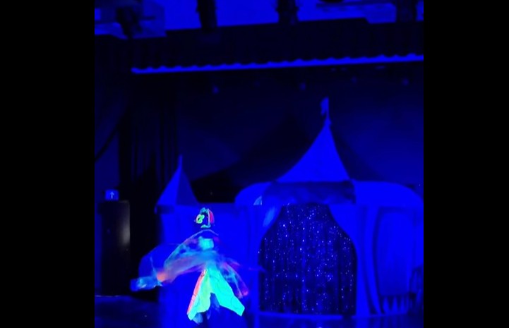 „MAGIC CIRCUS THEATRE SHOW”