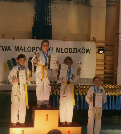 Zrzut ekranu 2023-12-28 211843.png
